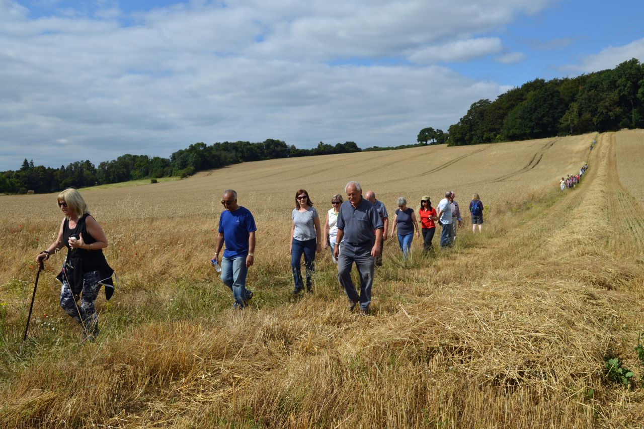 Walkers descend a hill in a line across a field on a sunny day